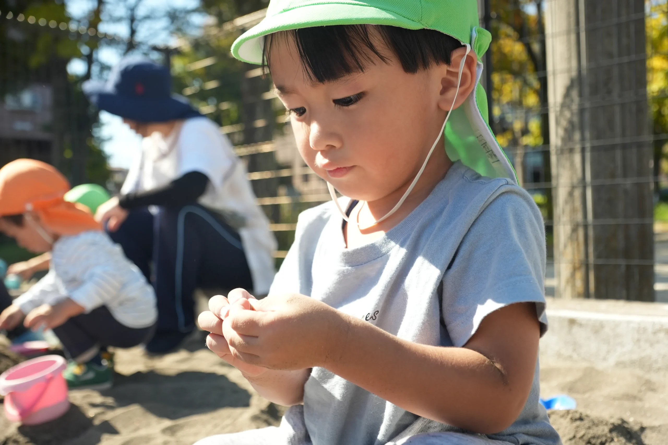 一日の写真